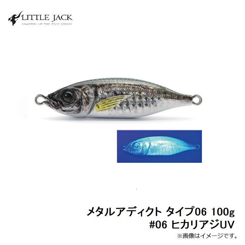 メタルアディクト タイプ06 100g