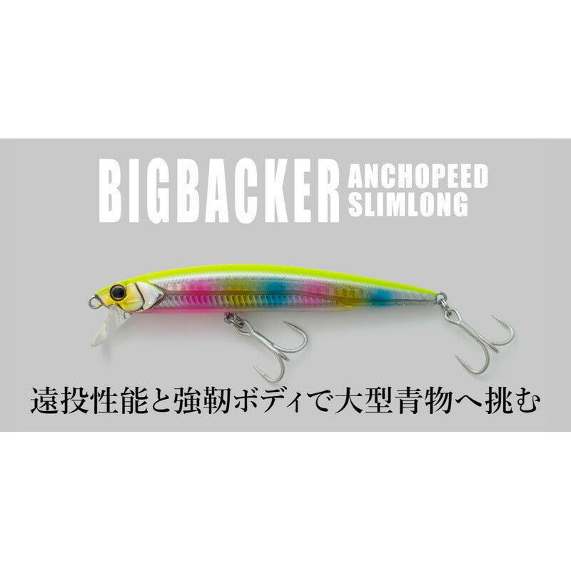 ビッグバッカー アンチョピード120SL イカナゴキャンディ