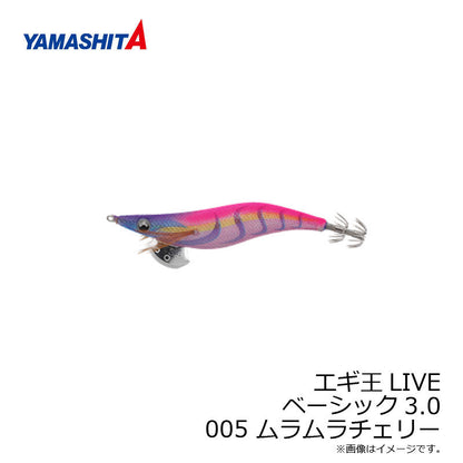 エギ王 LIVE 3