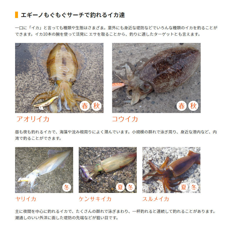 エギーノもぐもぐサーチ 3.2号