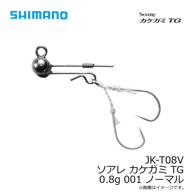 JK-T08V ソアレ カケガミ TG 0.8g 001 ノーマル – つり具のBunBun.com
