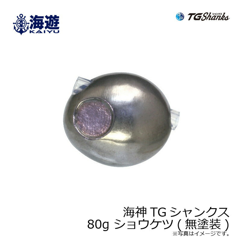 (ジャンク品)￼マリン商事 ジュウデンマル　ジャンク品 海神 TGシャンクス 40g ショウケツ + WGヘラクレスカーリー レッド亀甲