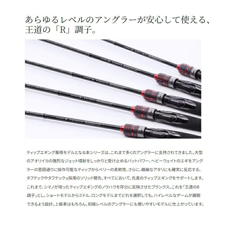 23セフィアBBティップエギング R-S66ML-S