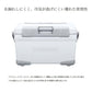 NB-232W アブソリュートフリーズ リミテッド 32L クールホワイト