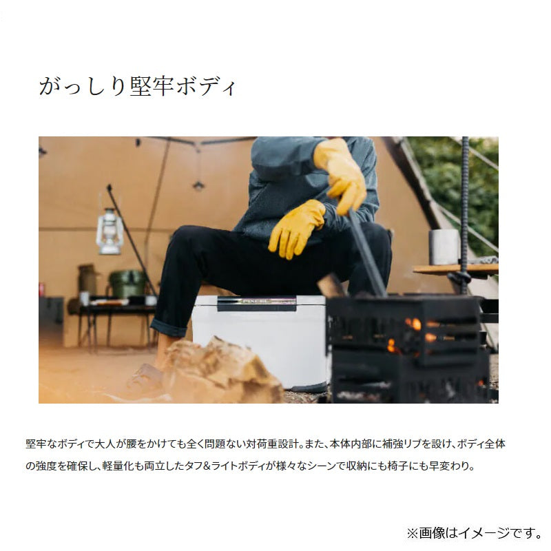 NF-222V フィクセル リミテッド 22L ホワイト