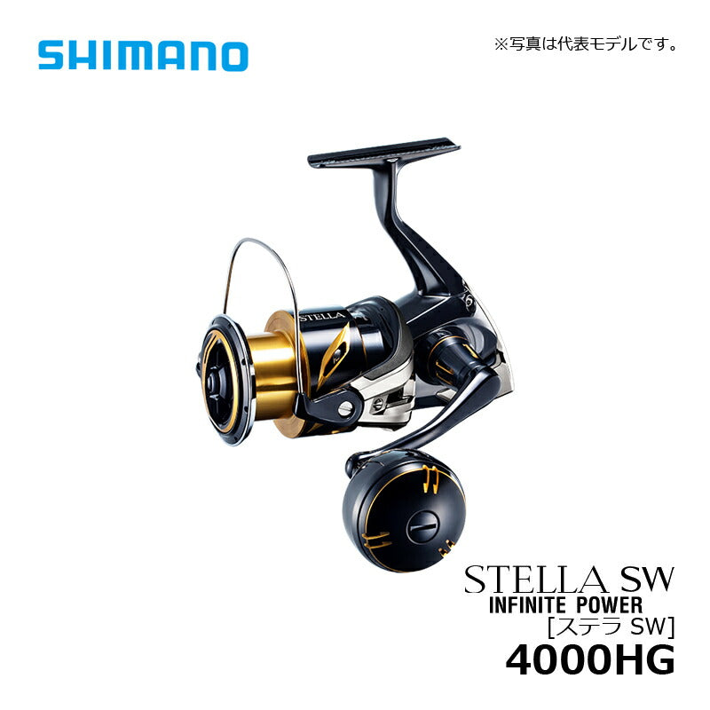 20 ステラ SW 4000HG
