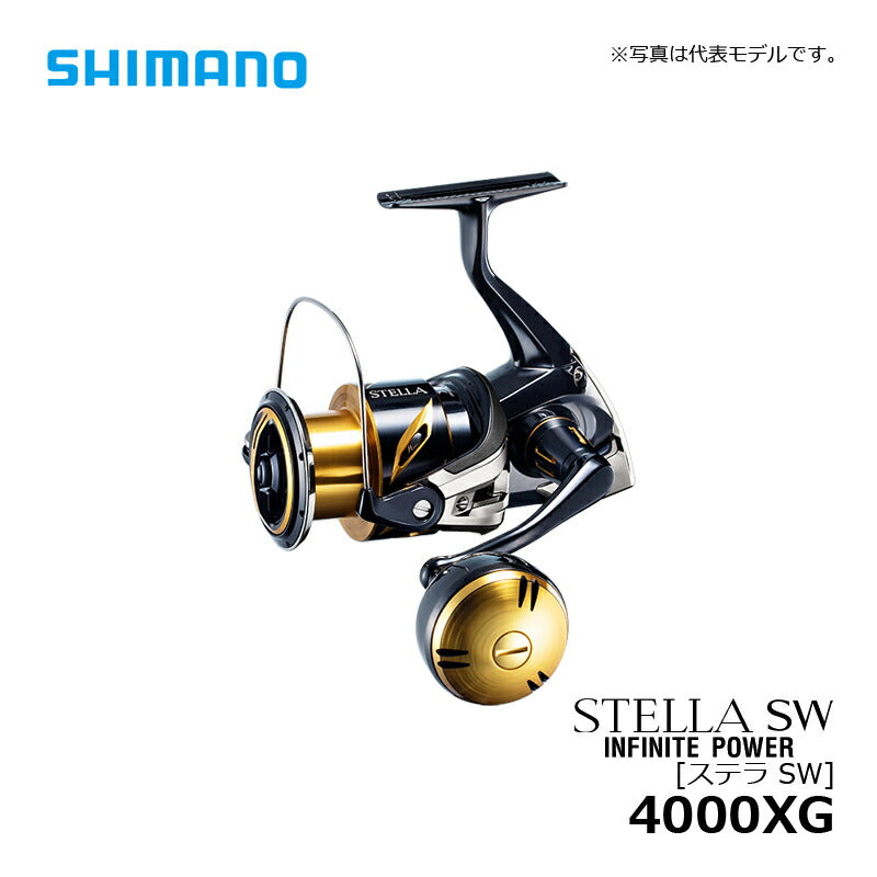 20 ステラ SW 4000XG
