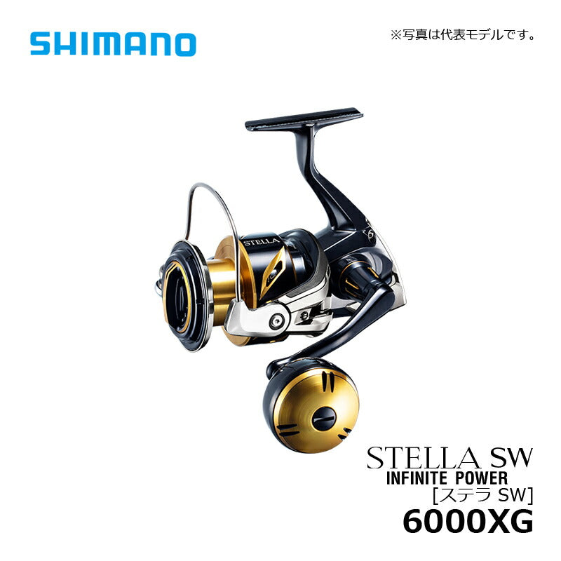 20 ステラ SW 6000XG