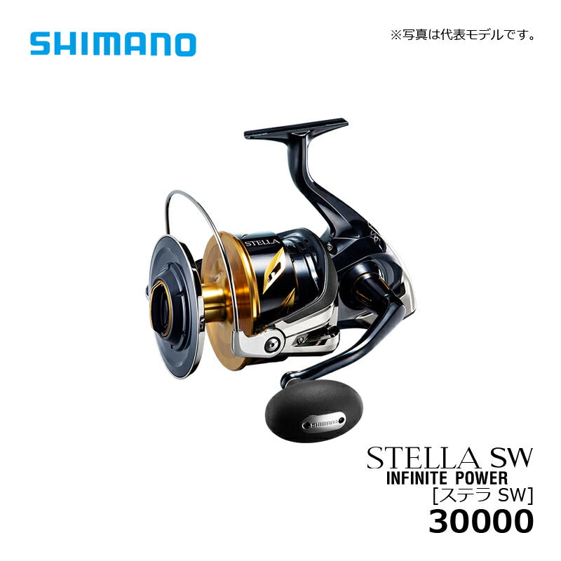 20 ステラ SW 30000