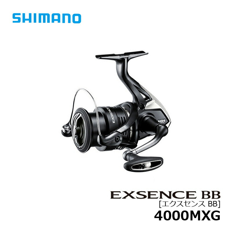 20 エクスセンス BB 4000MXG
