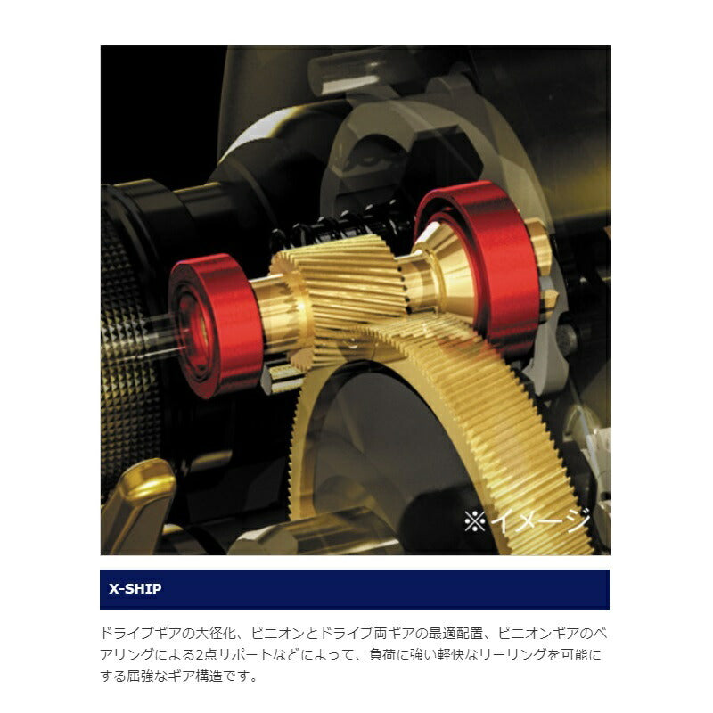 21 アンタレスDC HG LEFT – つり具のBunBun.com