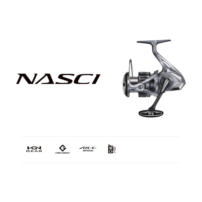 21 ナスキー 500