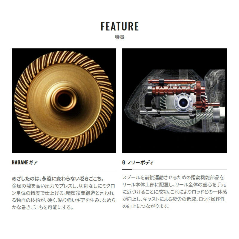 21 ナスキー 500