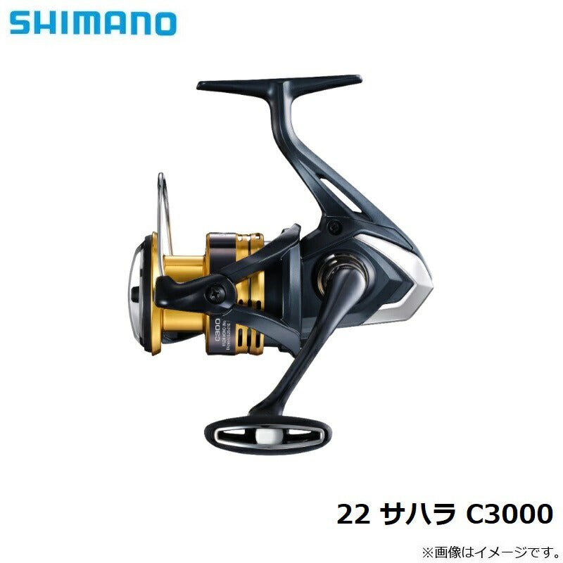 22 サハラ C3000