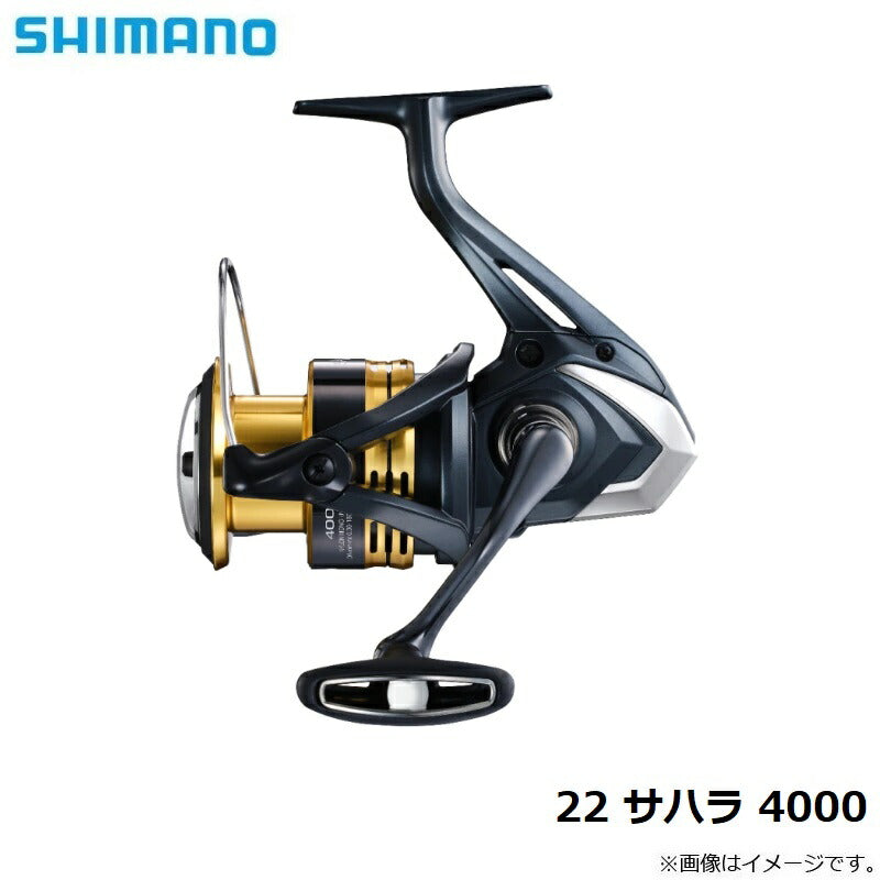 22 サハラ 4000