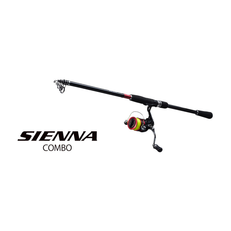 22 シエナコンボ S90M