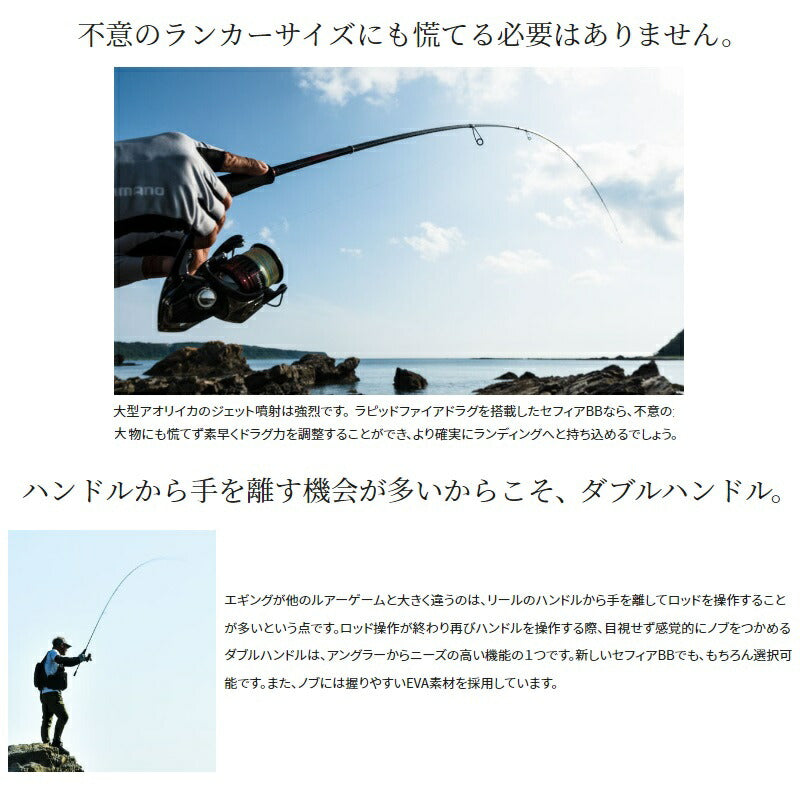 22セフィアBB C3000SDHHG