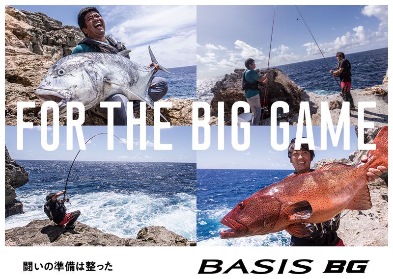 18 ベイシス BG 5-500