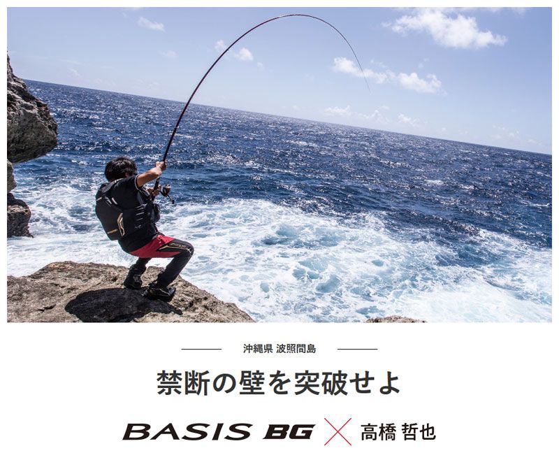 18 ベイシス BG 5-500