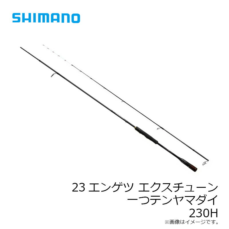 23エンゲツ エクスチューン 一つテンヤマダイ HTM230H