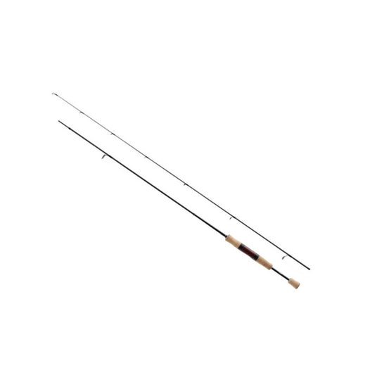 21 カーディフ AX S66SUL