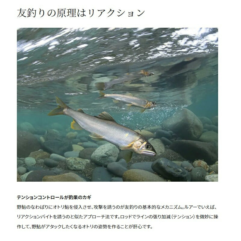 23ナイアード 急瀬90
