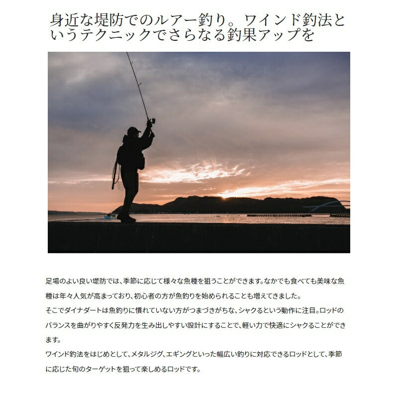 ダイナダート S86ML