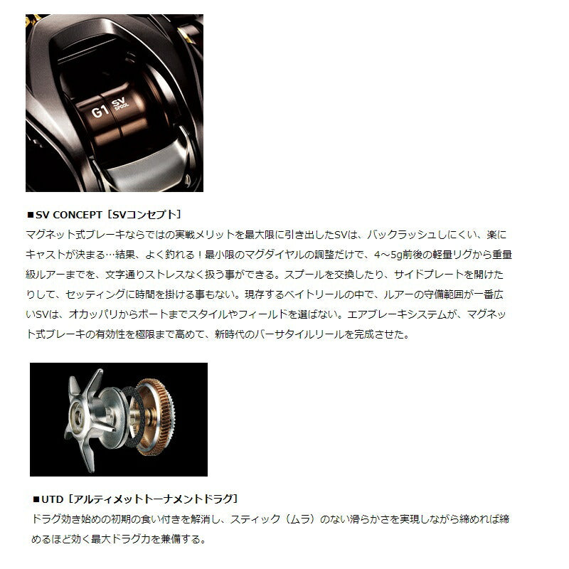21アルファス SV TW800XHL