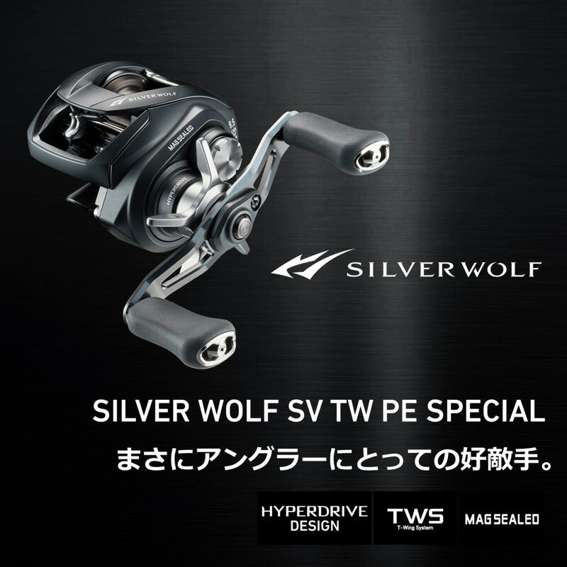 シルバーウルフ SV TW 1000XH PE SPECIAL