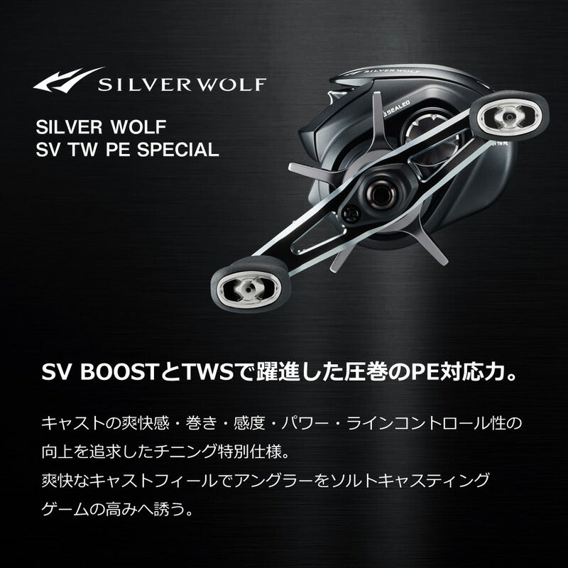 シルバーウルフ SV TW 1000XH PE SPECIAL