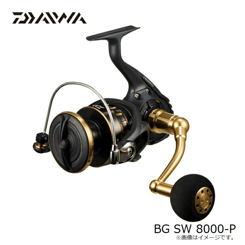 23BG SW 8000-P