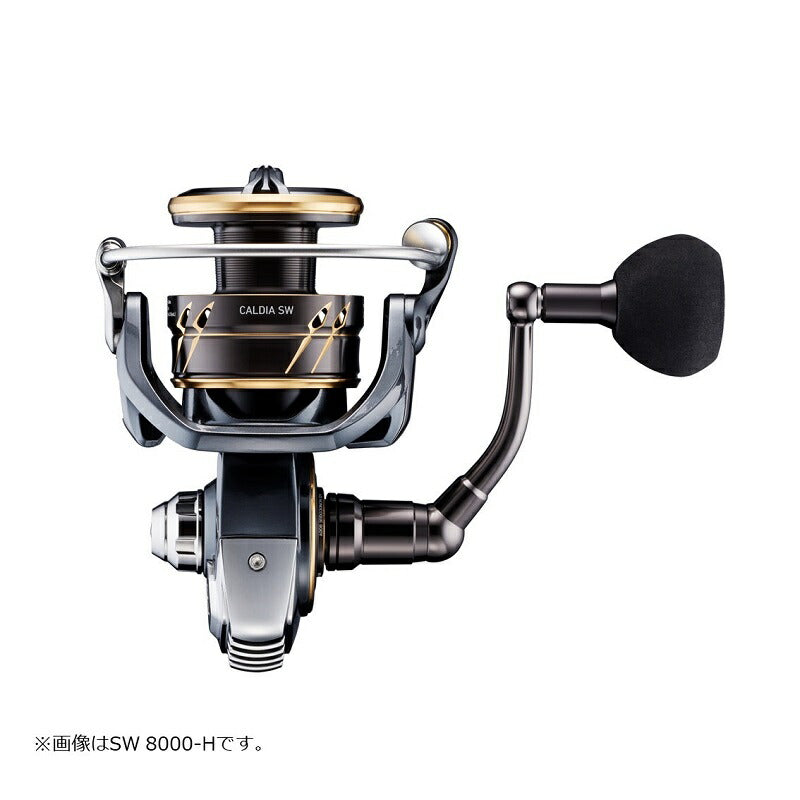 23カルディアSW 8000-P