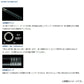 硬派 大鮎 85・N 【大型商品】