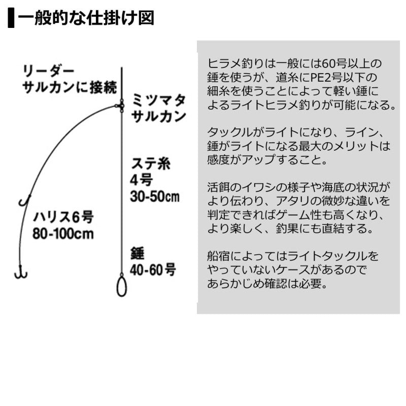 ライトヒラメ X M-240・R