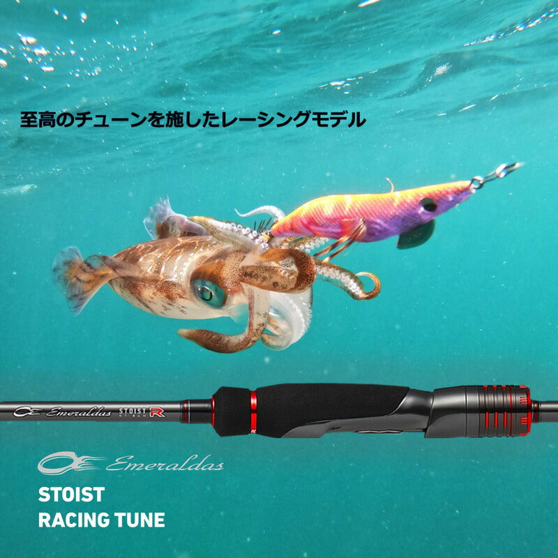 エメラルダス ストイスト RT （アウトガイドモデル） 84M 【大型