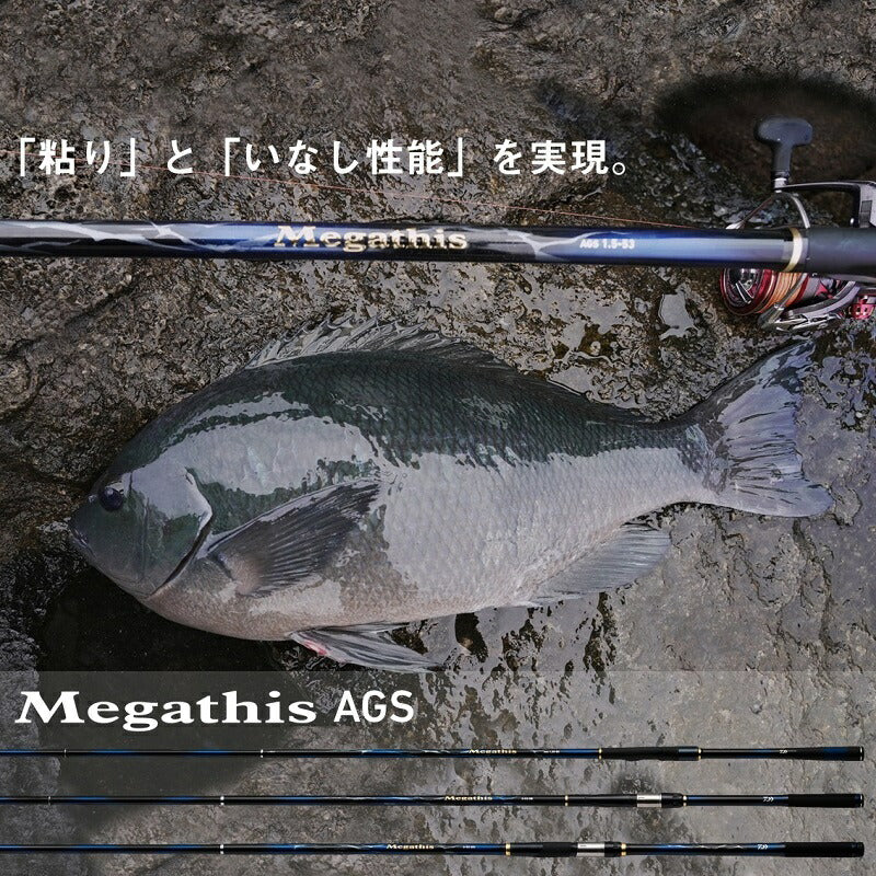 21メガディス AGS 1.25-50・N – つり具のBunBun.com
