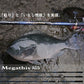21メガディス AGS 1.5-50・N