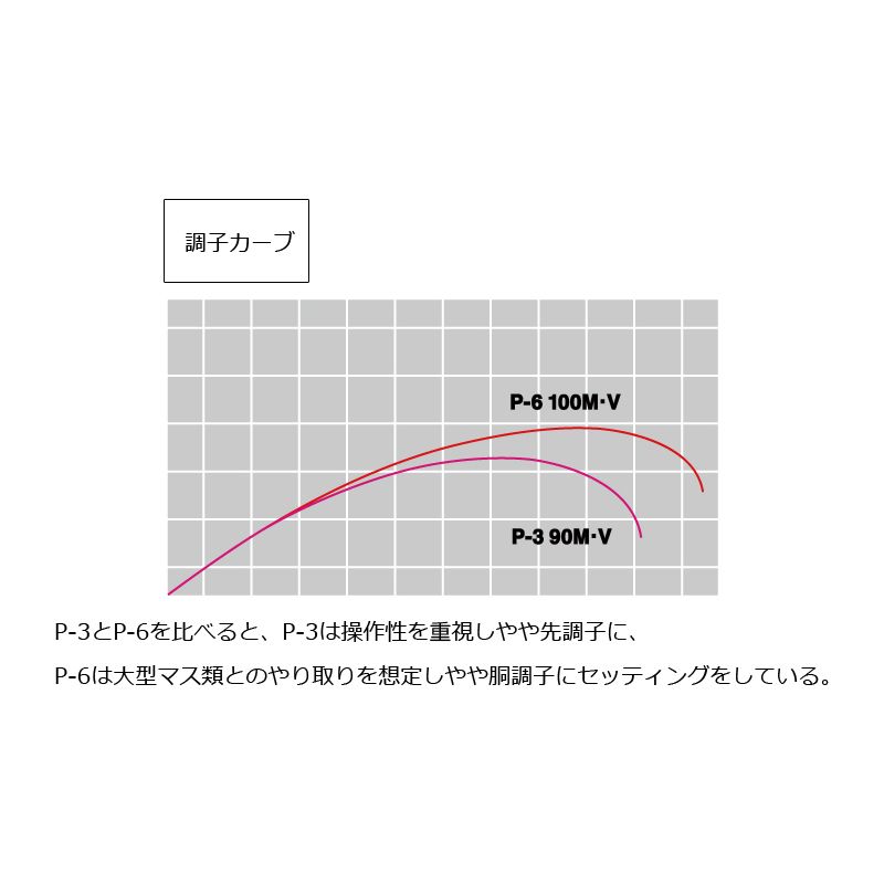 遡 P-6 100M・V