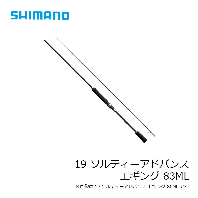 19 ソルティーアドバンス エギング 83ML