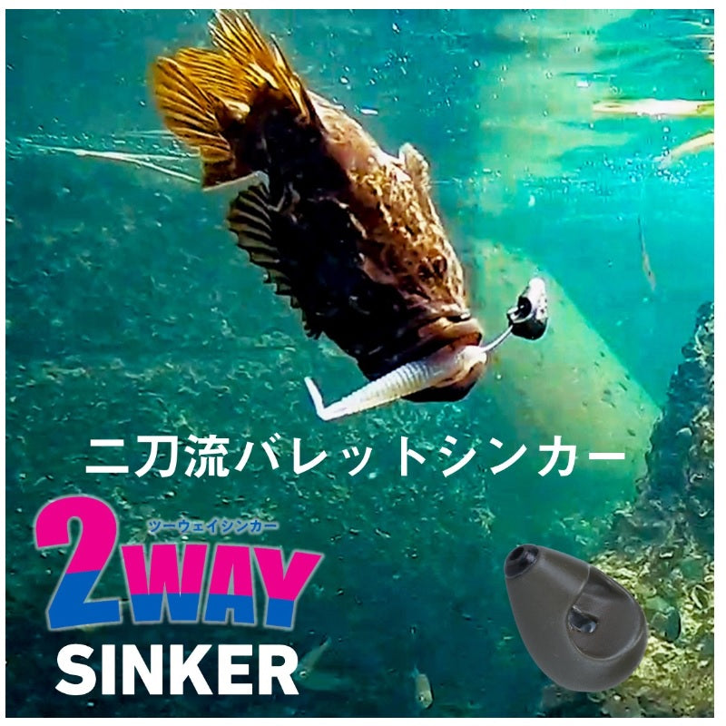 2WAY SINKER ツーウェイシンカー 35g