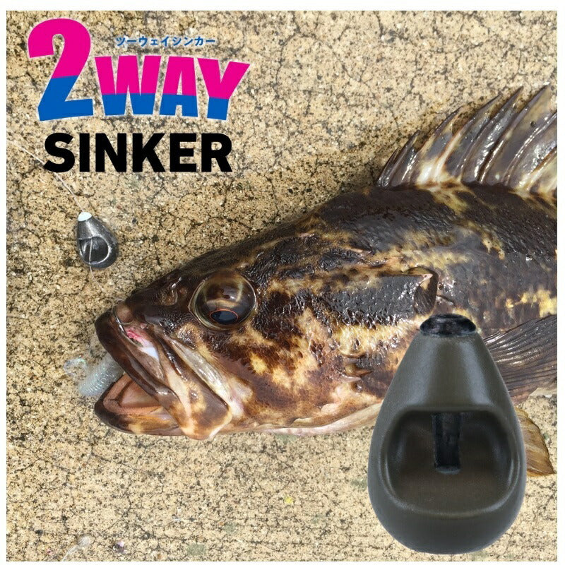 2WAY SINKER ツーウェイシンカー 35g
