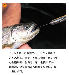 ゼロハリハズシ SS