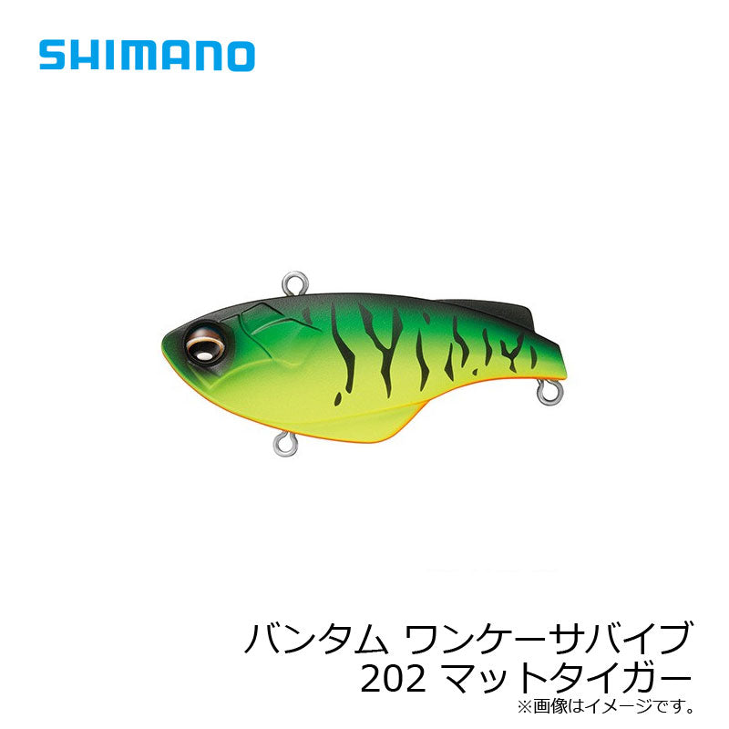 ZV-207P バンタム ワンケーサバイブ
