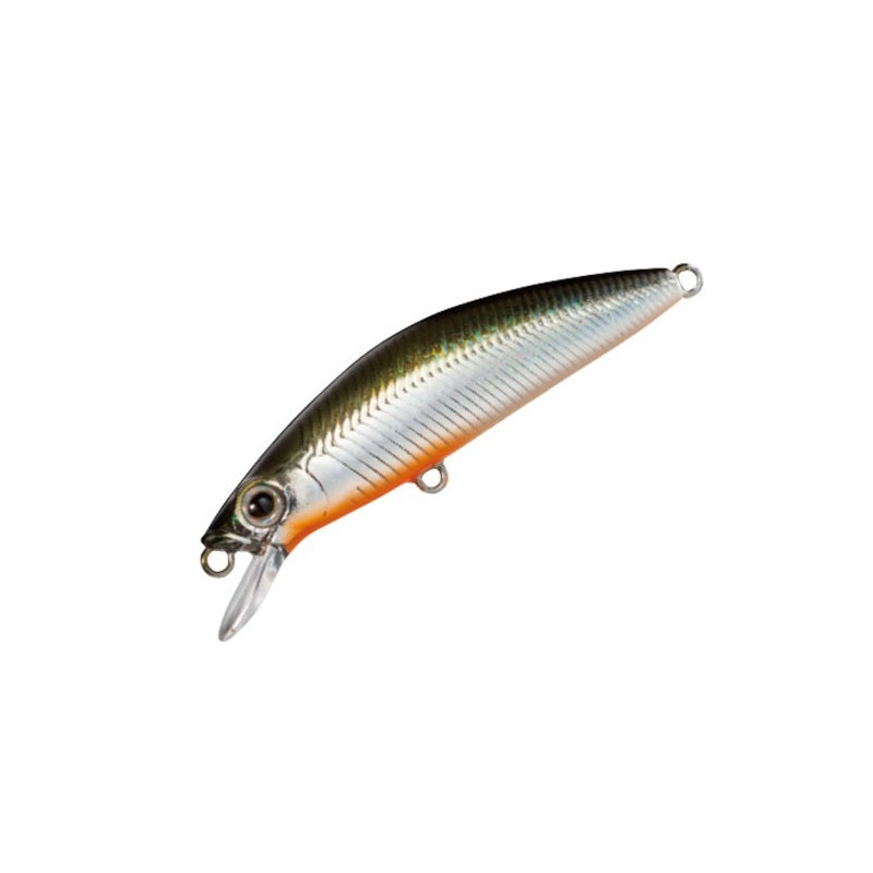 TN-350N カーディフ フォレッタ 50S