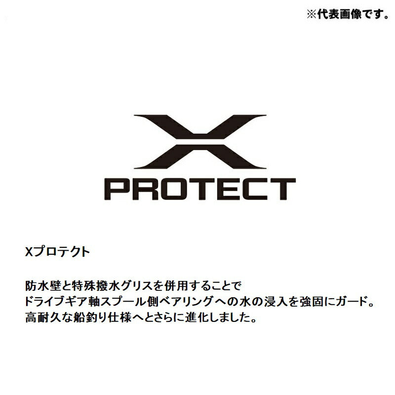 【在庫限り特価】 20 バルケッタ F カスタム 150DHXG / 右ハンドル