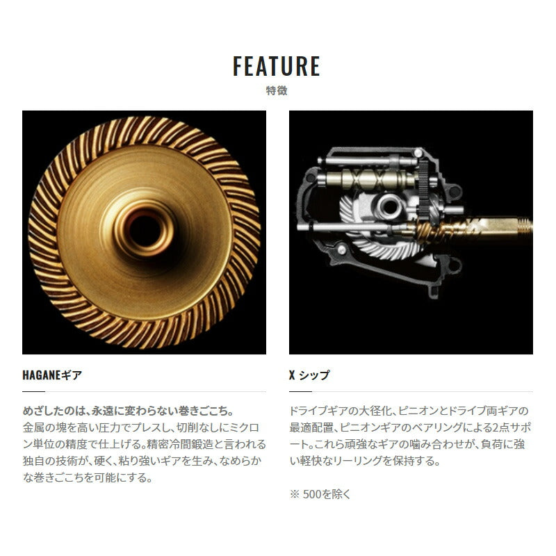 21 ナスキー 2500