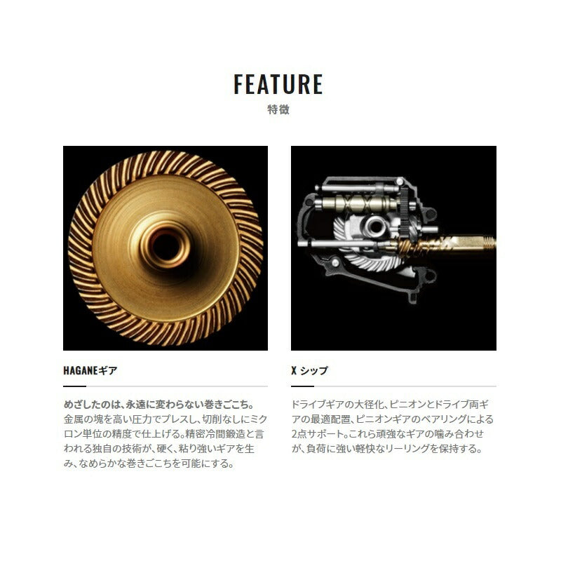 21 BBX テクニウム C3000DXG SL
