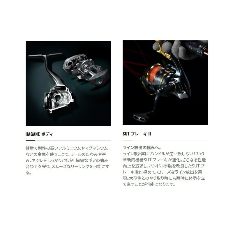 21 BBX テクニウム C3000DXG SL
