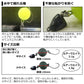 【在庫限り特価】 鱒ノ種 タピオカ