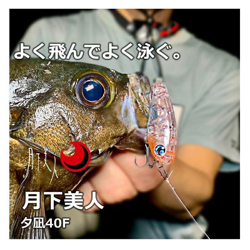 月下美人 夕凪 40F漂
